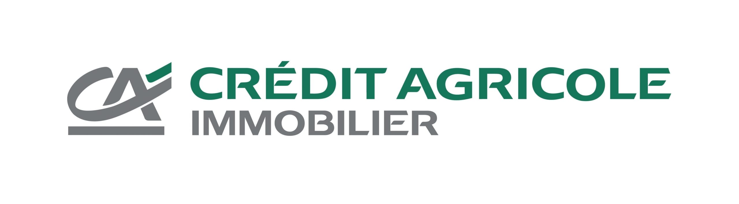 logo_caim63_1427192058